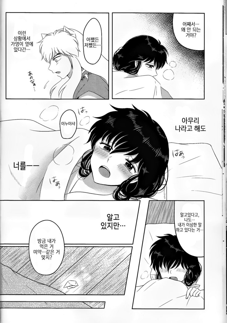 恋ぐすり-ラブドラッグ| 사랑의묘약