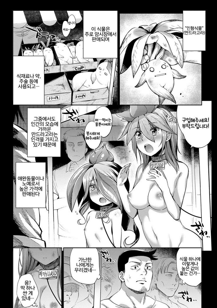 ばけものエッチ| 바케모노엣찌