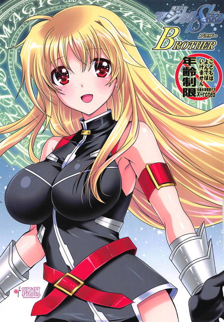 魔法少女マジカルシードブラザー