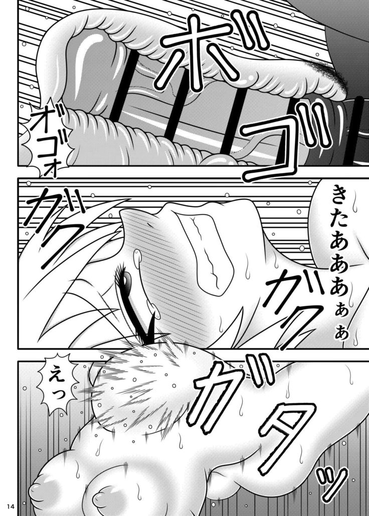 ウマチンポケースモコウ