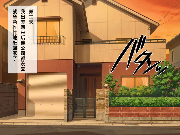 ネトラセテイタツマガホントウニネトラレル製〜ネトラレ編〜