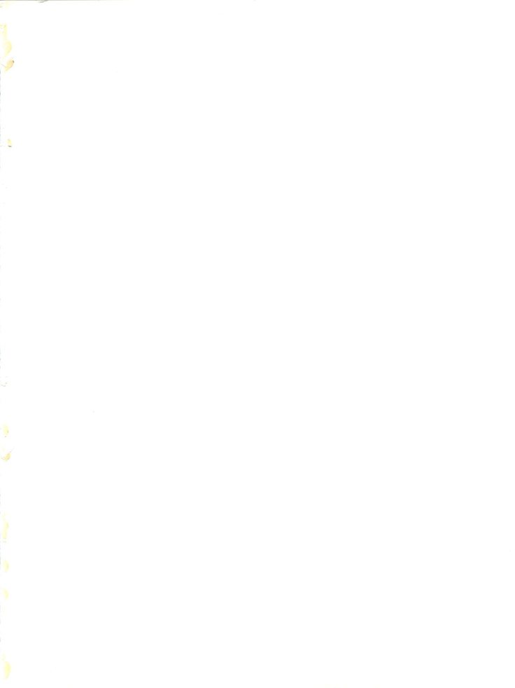 オレテキいきざま撃平