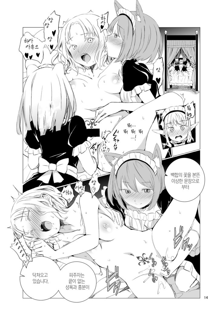 百合世界|百合の世界| 유리세계