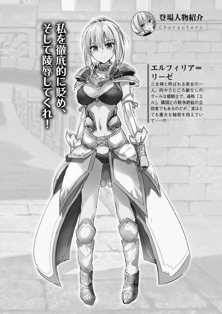 かっこいいまそ！ファンタジー〜姫岸様しつけて