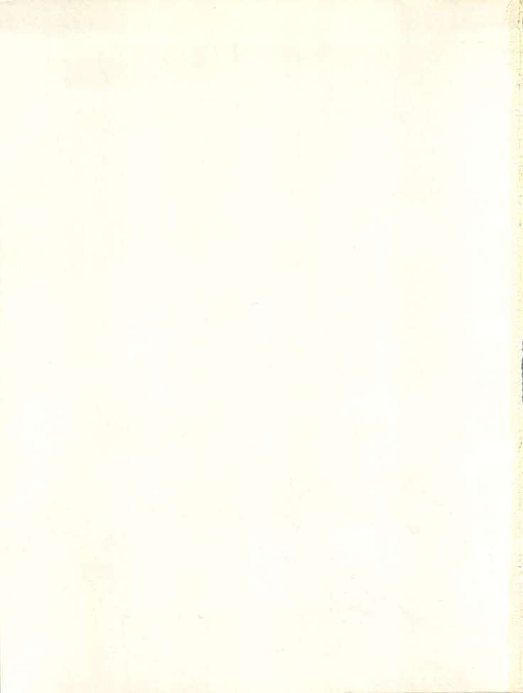 B-Waveエクセレント