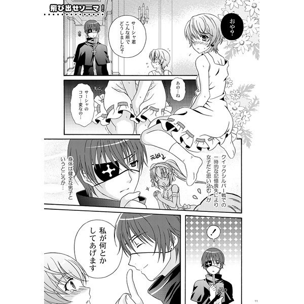 男の娘の本ツヴァイ