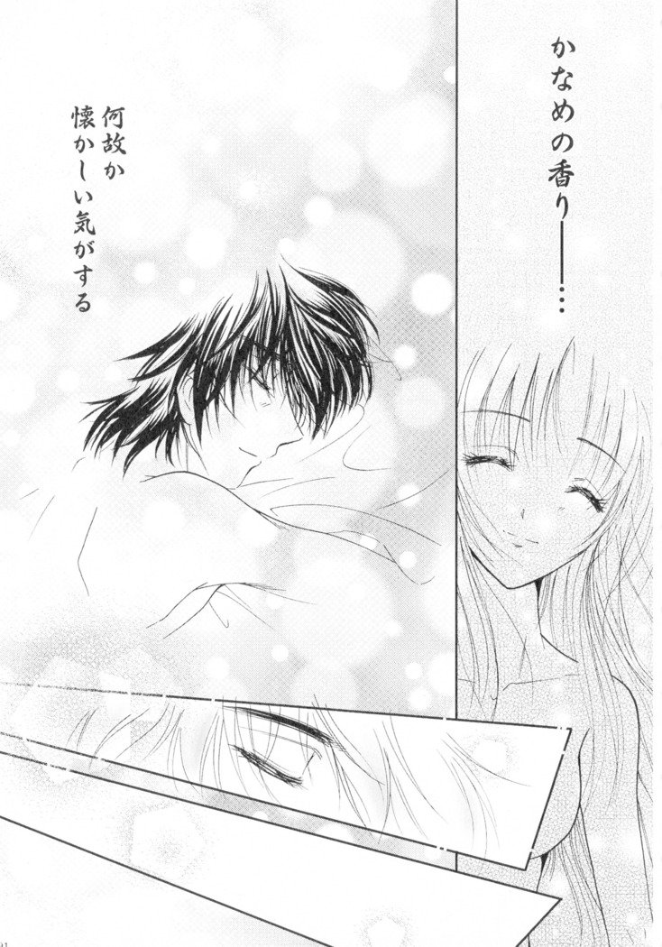 SEXY PANIC Sairoku-shuu VOL.4