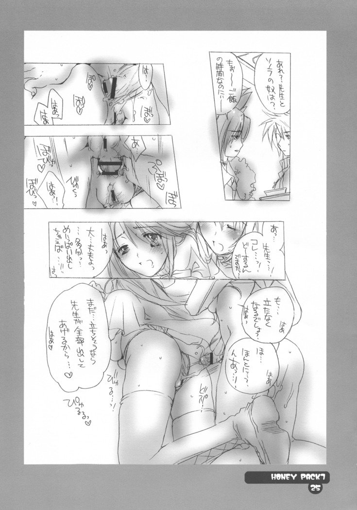 ハニーパック07