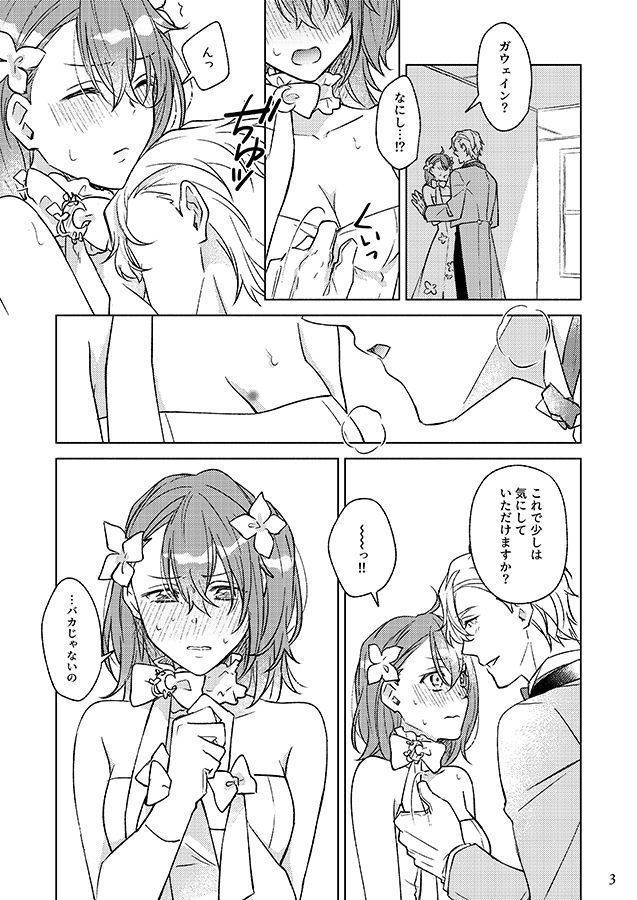 a5 /3Nopēpārarī-yōnopēpāsample