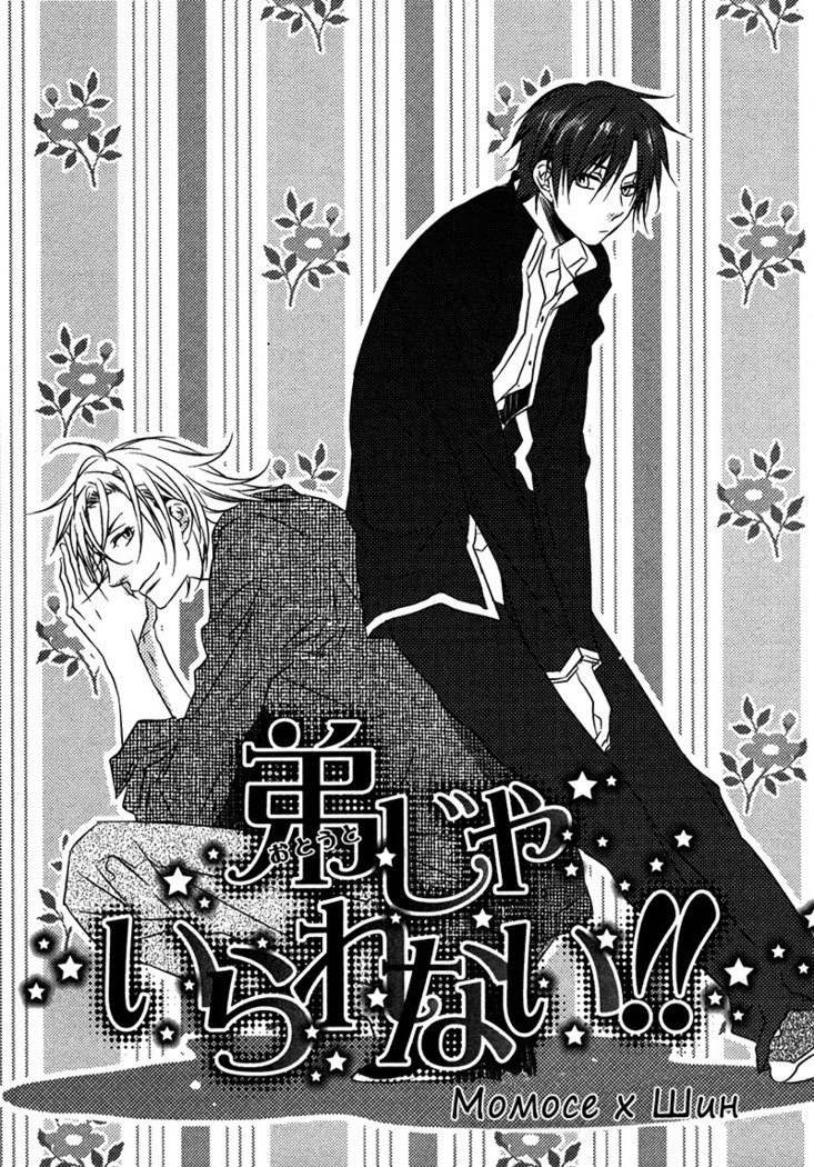 おとうとイラレナイ!!