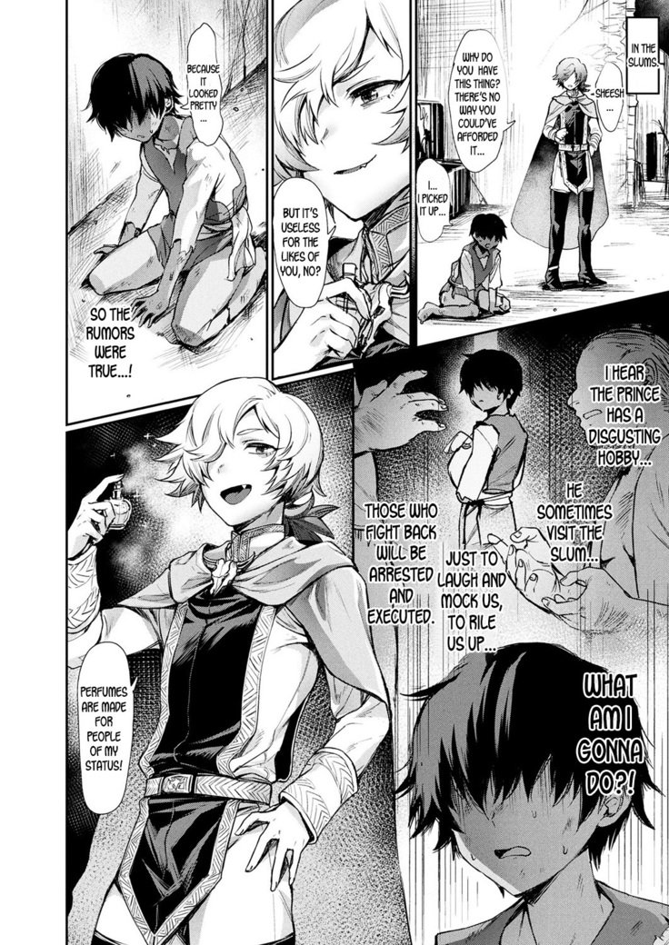 私の妻は王子です