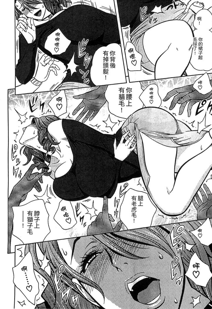 ツインミルフ2中文