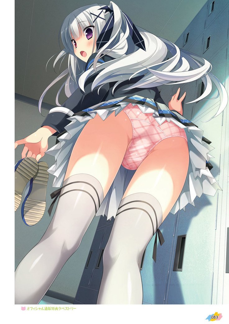 Hulotte-モリフクロウモリフクロウ。ビジュアルファンブック