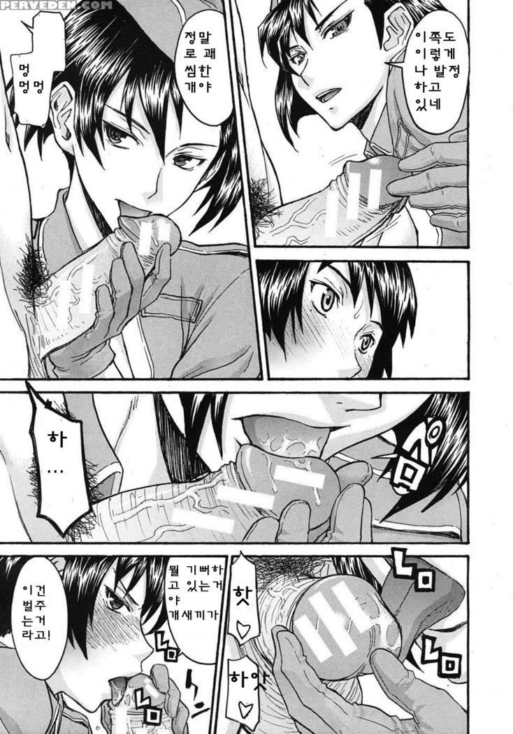 ミダラナシセン