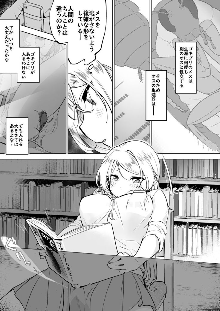 学校図書のいない学校図書編