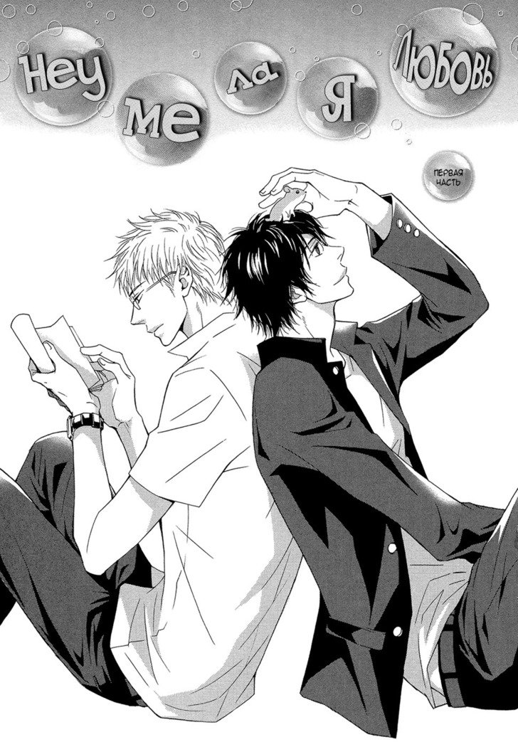 かちょうはかっこ飯