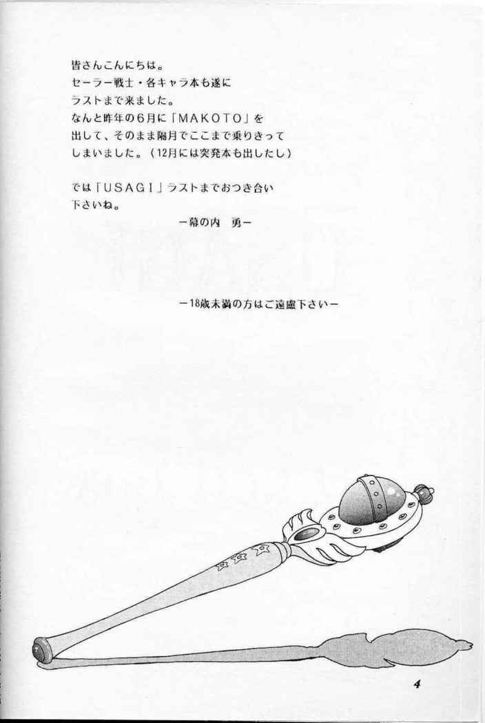 USAGI-ランチボックス6-