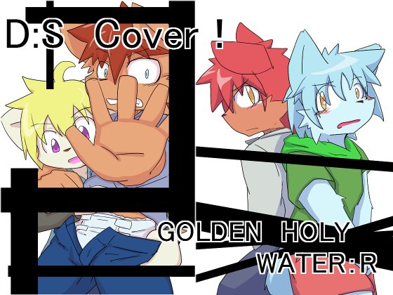 DSカバー！