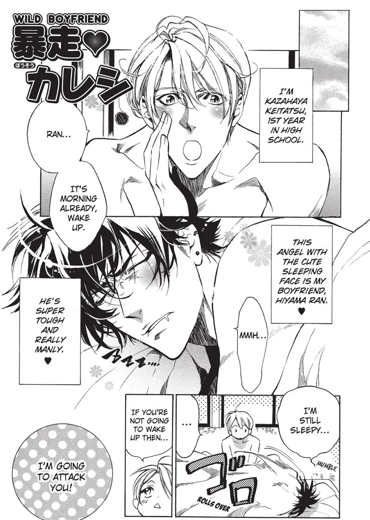 ワイルドボーイフレンド