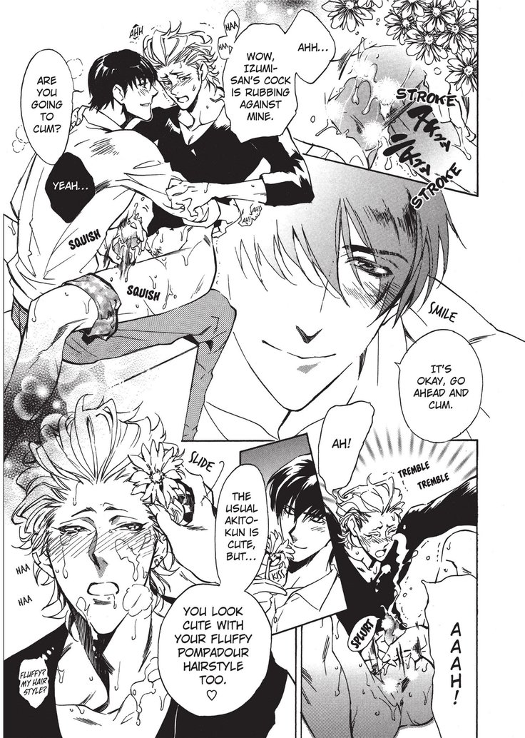 ワイルドボーイフレンド