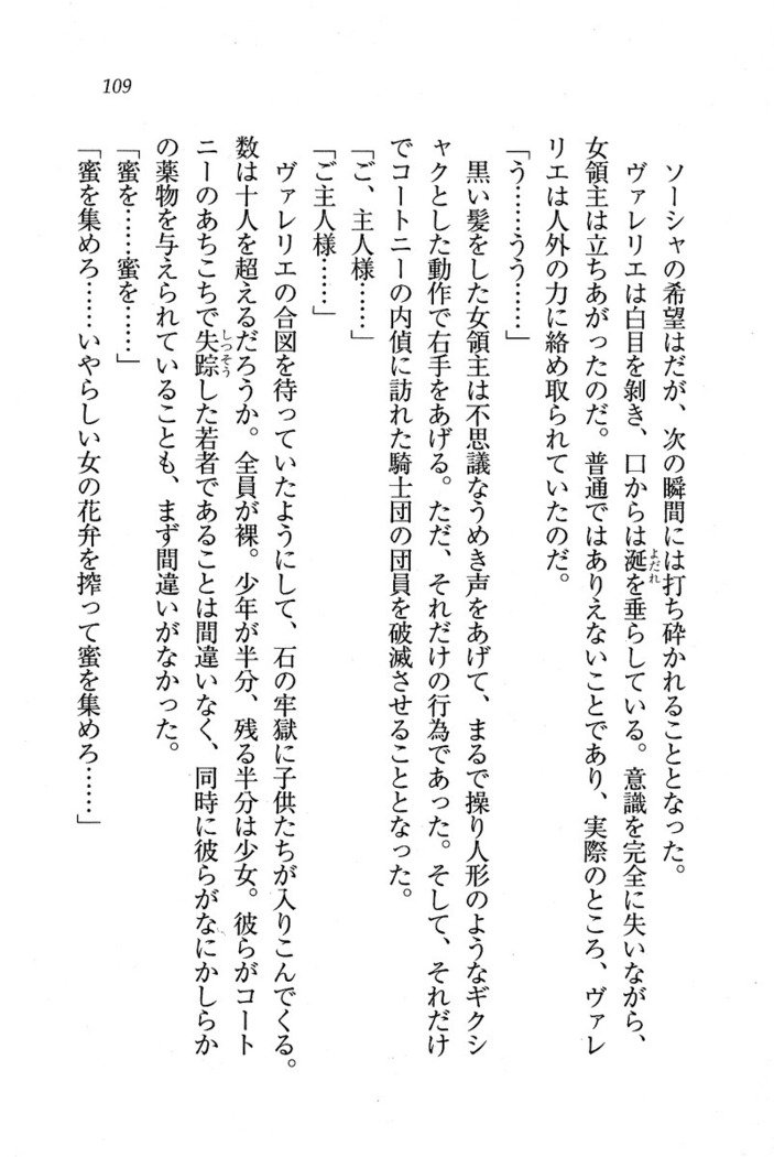 サーカス〜聖杯の魔法使い