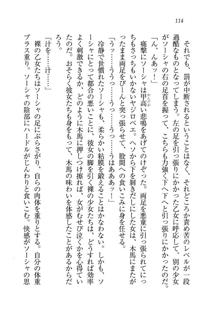 サーカス〜聖杯の魔法使い