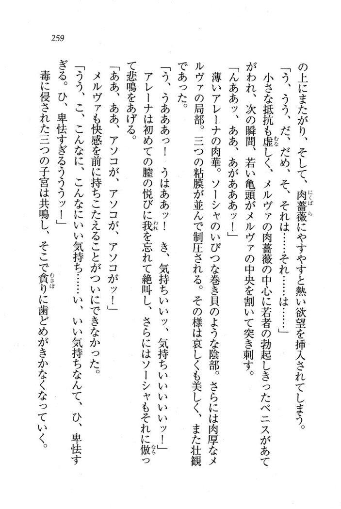 サーカス〜聖杯の魔法使い