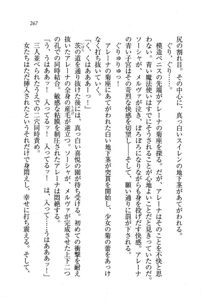 サーカス〜聖杯の魔法使い