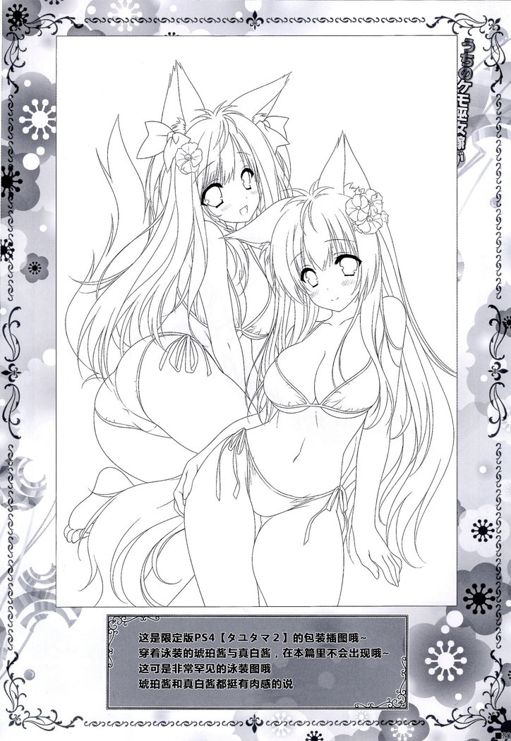 うちのけもみこよメガソンヌスギルケン