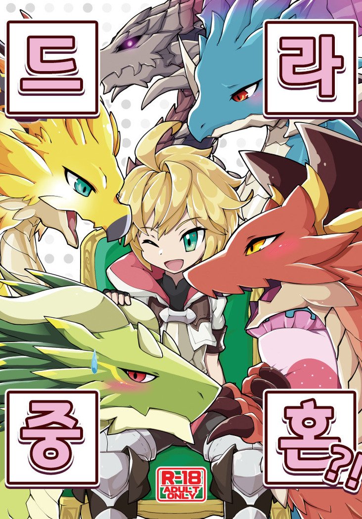 ドラジュコン！？