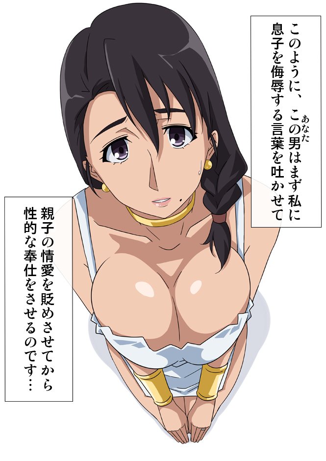 おかず娘CGシュウヌキイラVOL2.1ダム娘のたびのなかまはゆうしゃのははのごしゅじん様