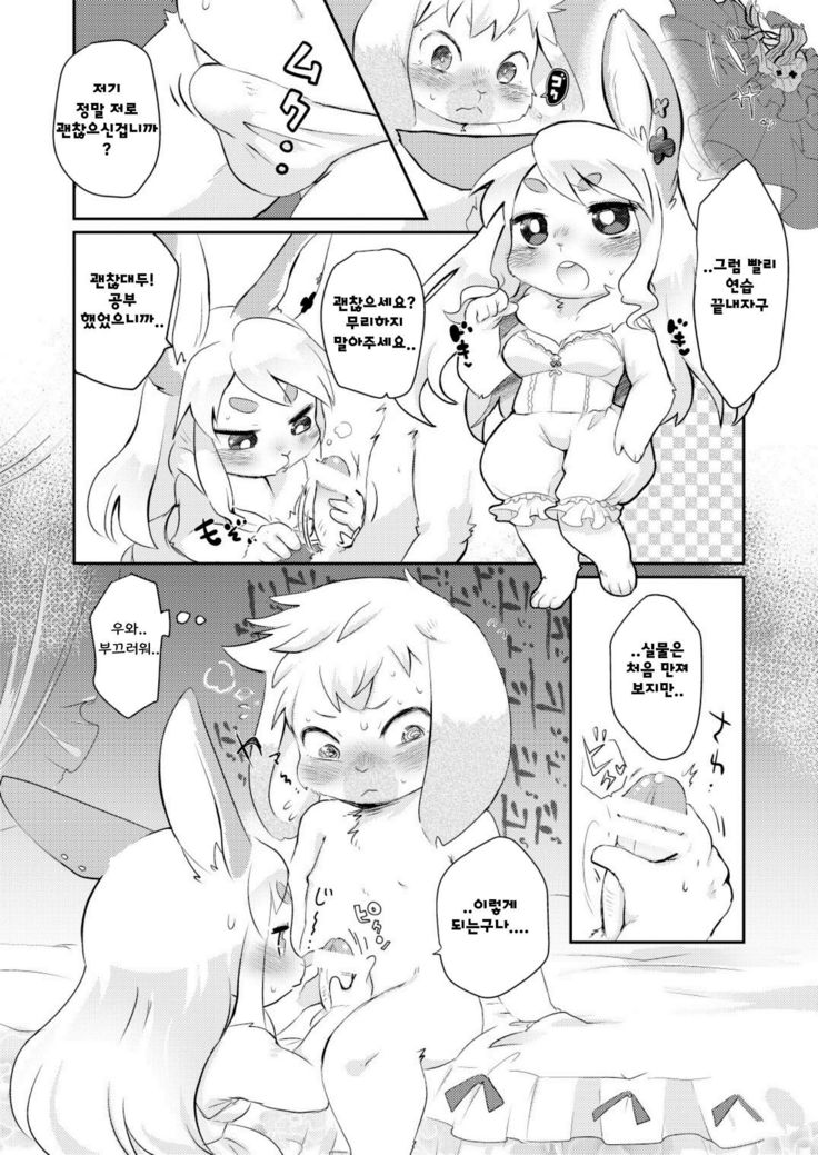 うさぎ大好き！