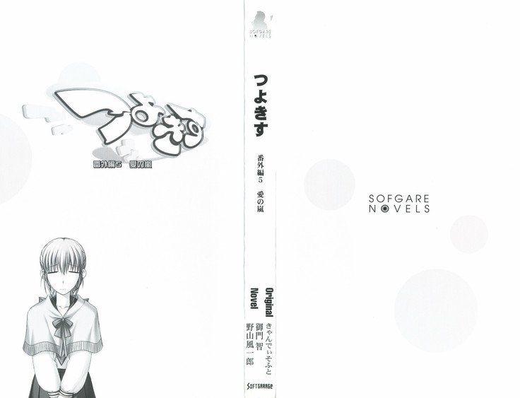 つよきす番外編5愛の嵐