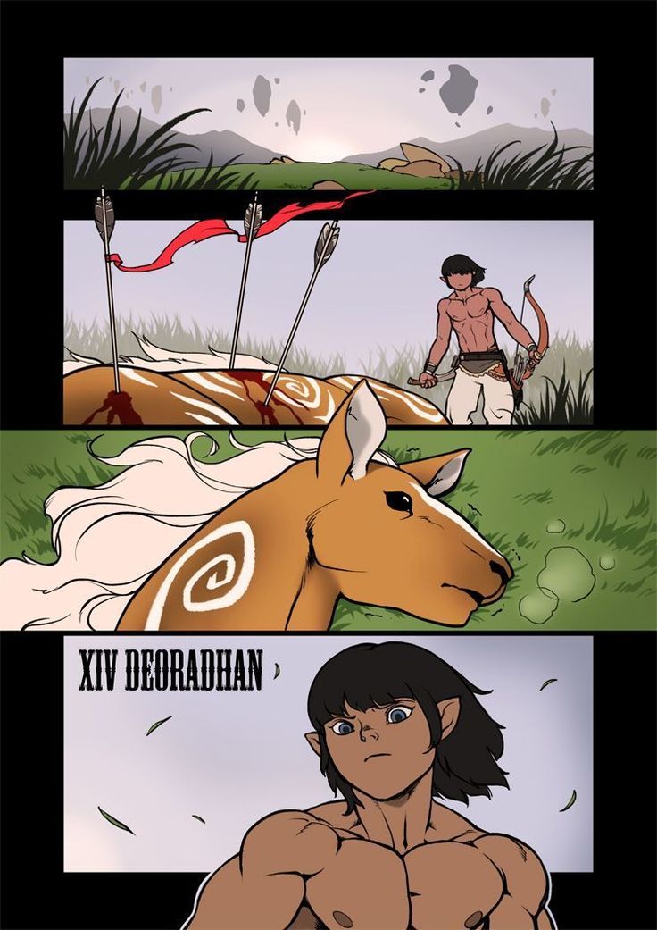 フロンテラスプロヒビダス