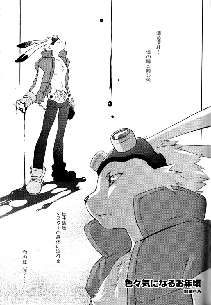 キングオズファイター