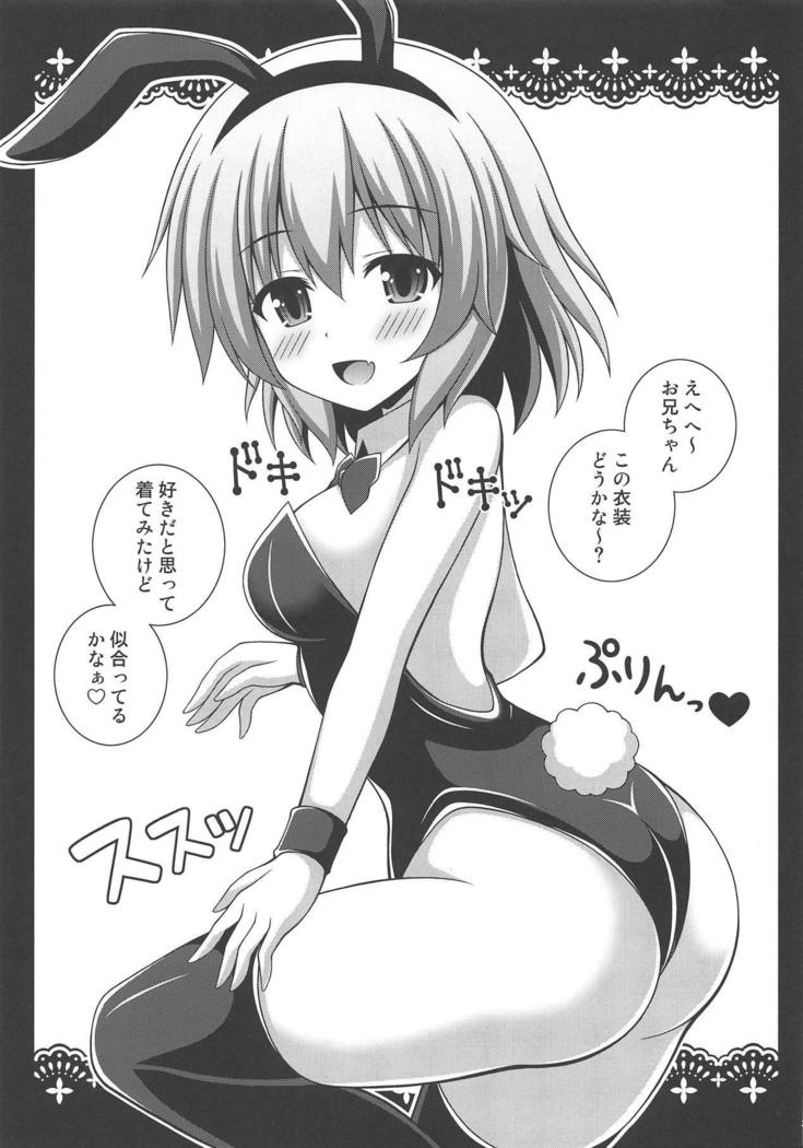 コメイジピョンピョン