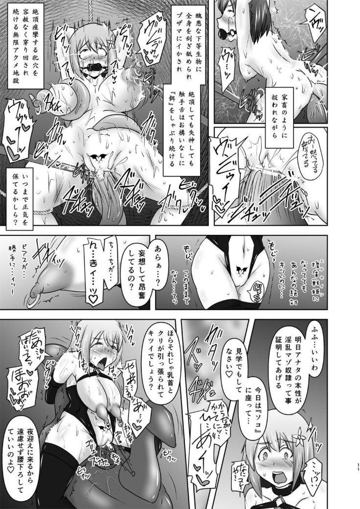 シールドナイトエルセイン-屈辱の刑務所島vol.2