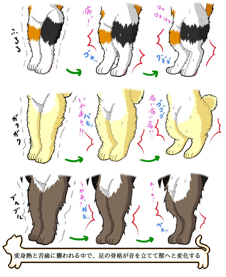 ケモタン1 ＠ J-キメラ