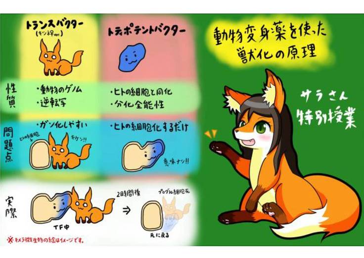 ケモタン1 ＠ J-キメラ