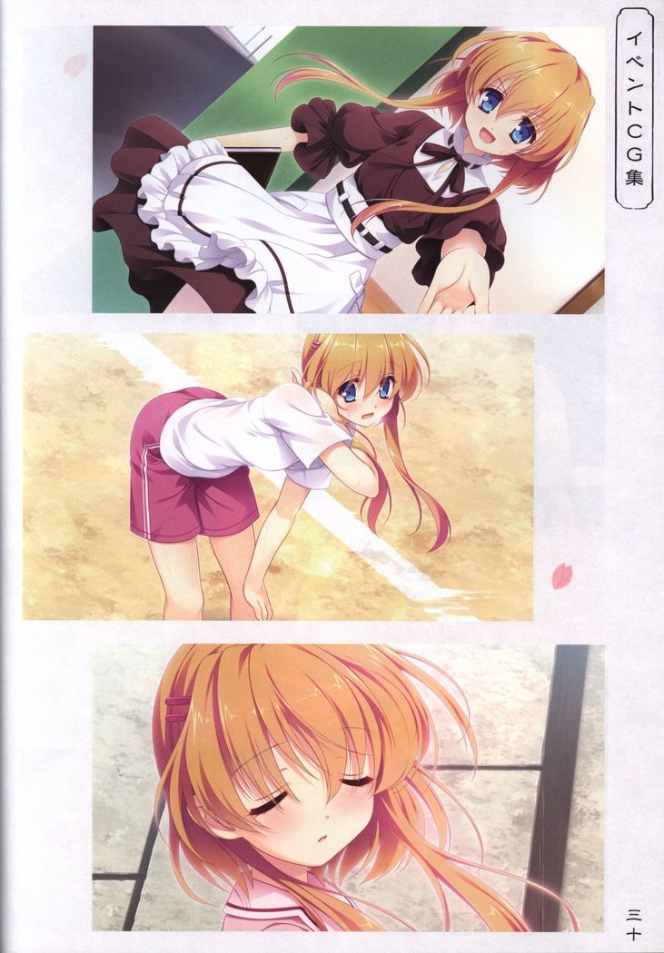 花の野に咲うたかたのウィッセンシャフト-さくら-