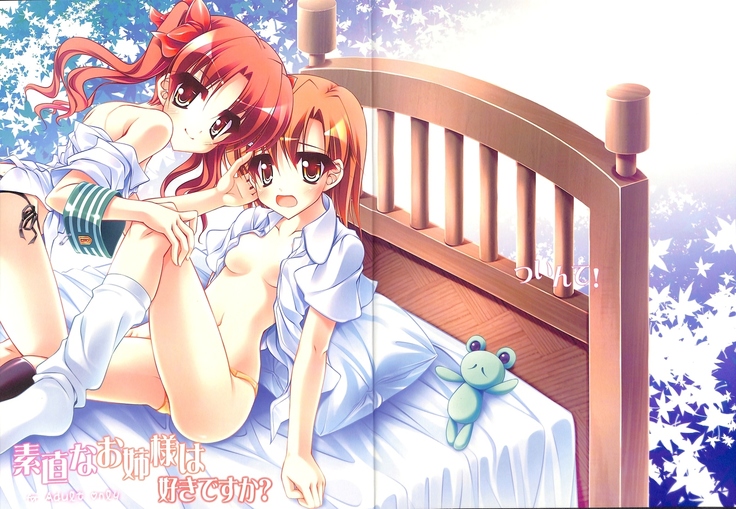 砂尾なおねえ様はすきですか？