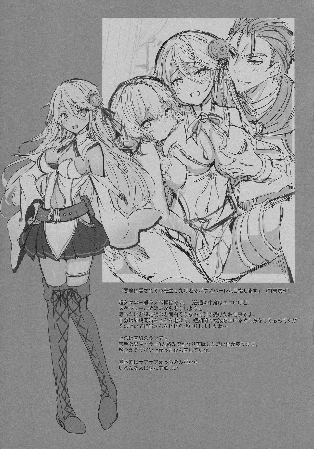 (C97) [乙女気分 (三色網戸。)] Rough Collection 01