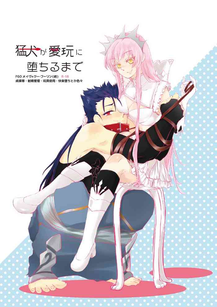 [雨連] 猛犬が愛玩に堕ちるまで (Fate/Grand Order) [DL版]