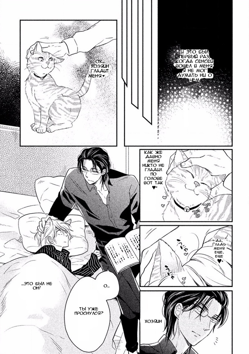 とんでひにいる夏の猫Ch.2