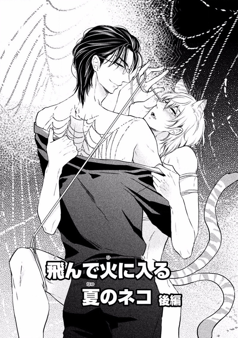 とんでひにいる夏の猫Ch.2