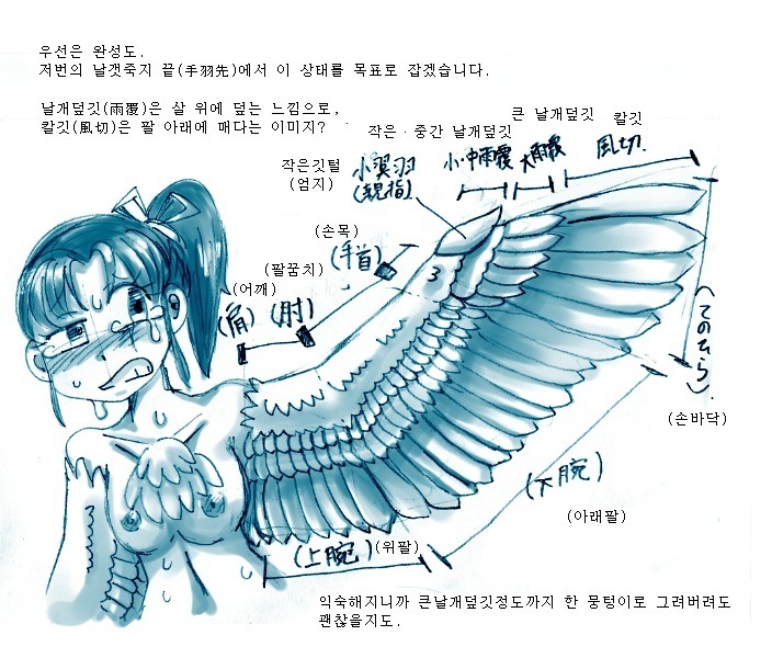 鳥のTFについての研究と実践