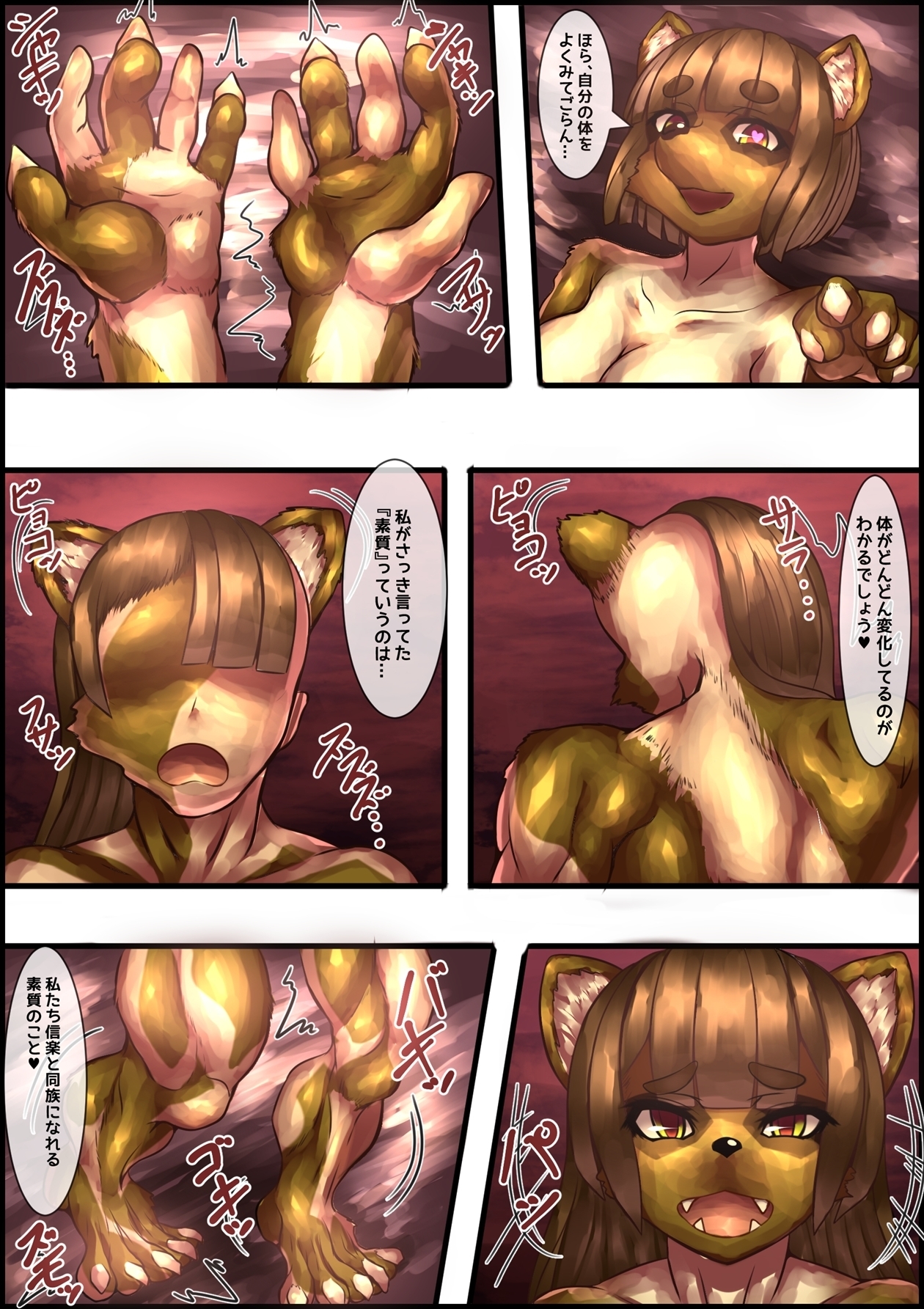 信楽立の歌〜ふたなりたぬきの共行〜