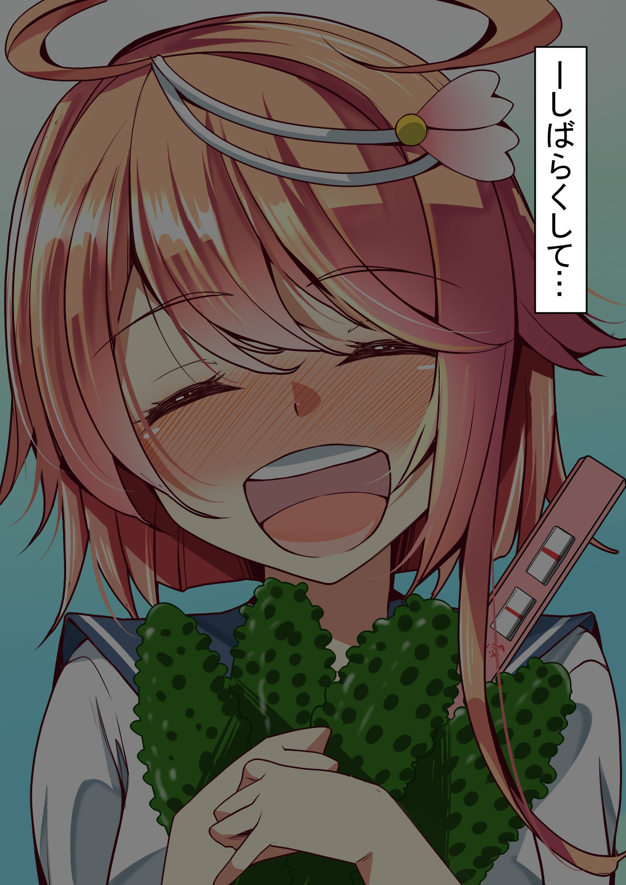 ニンシンコレクション5〜5-リノセンスイカン娘とドステイトク〜