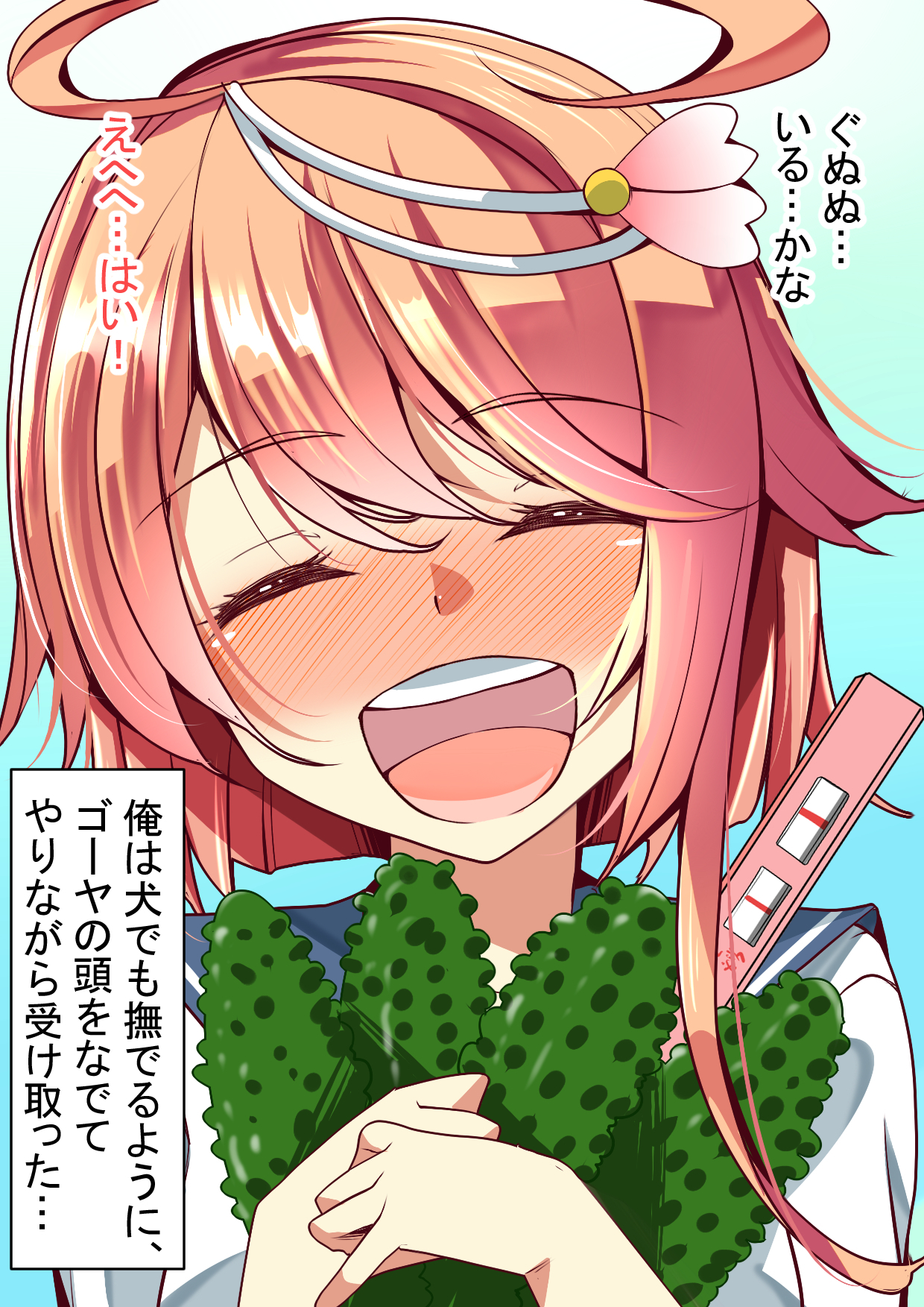 ニンシンコレクション5〜5-リノセンスイカン娘とドステイトク〜