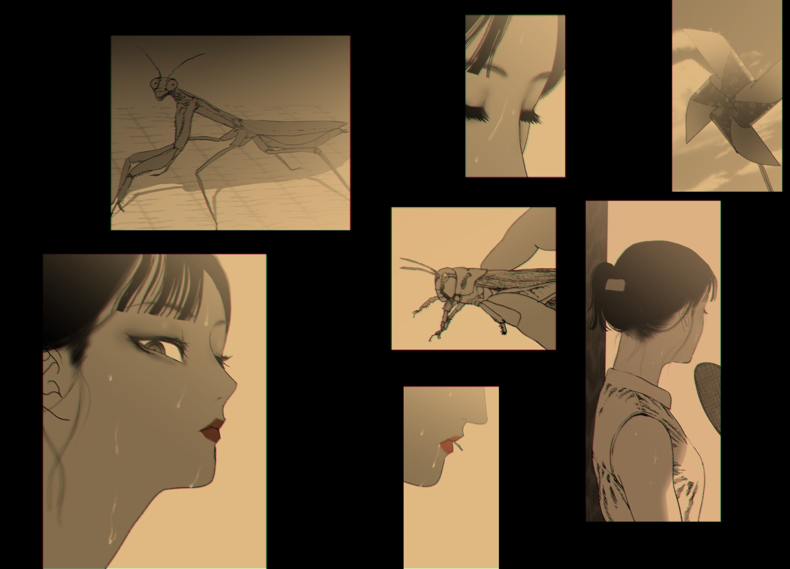 けもりのしょうねん